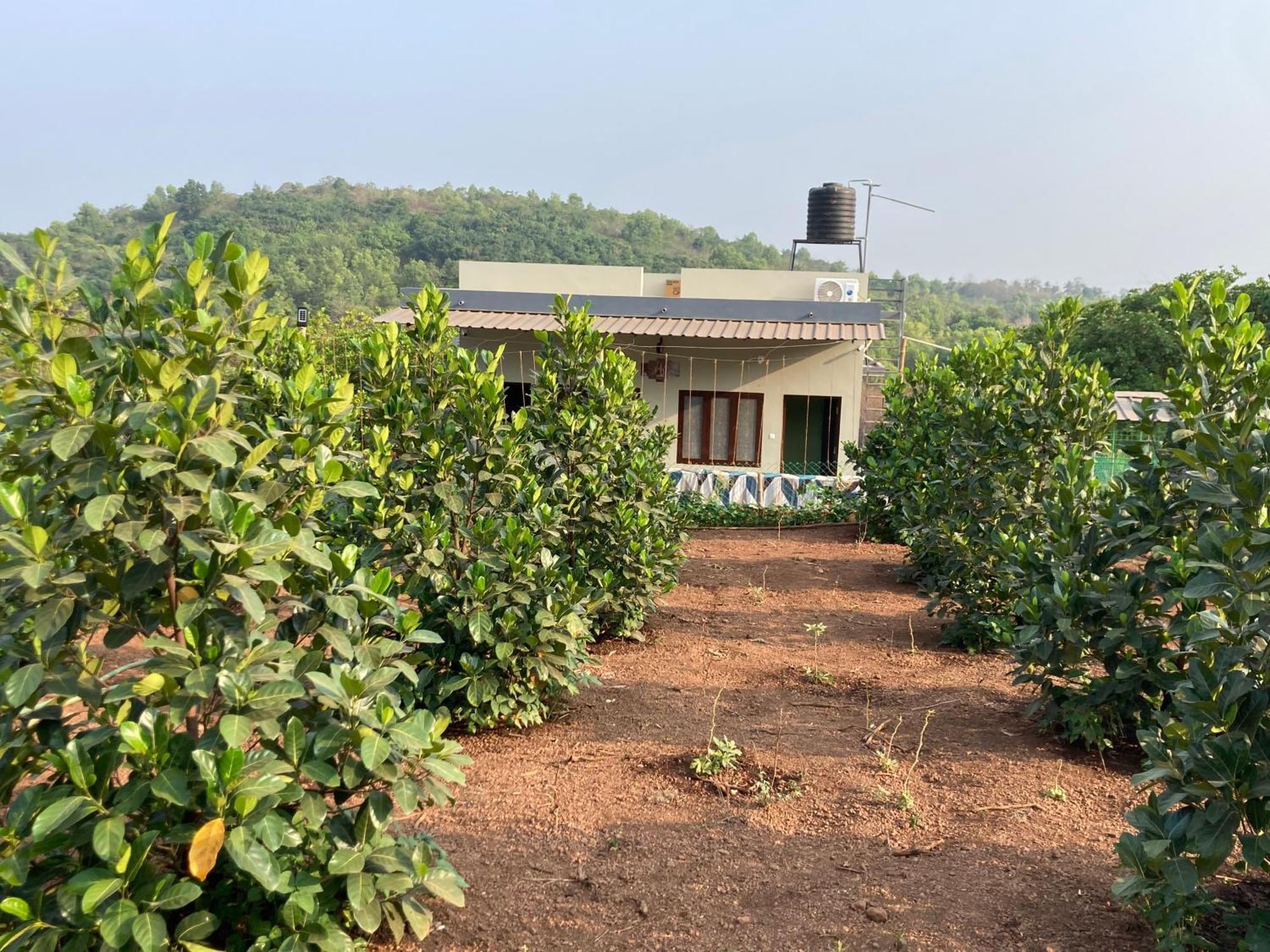 Mo'S Agro Villa Pāppinisseri Buitenkant foto